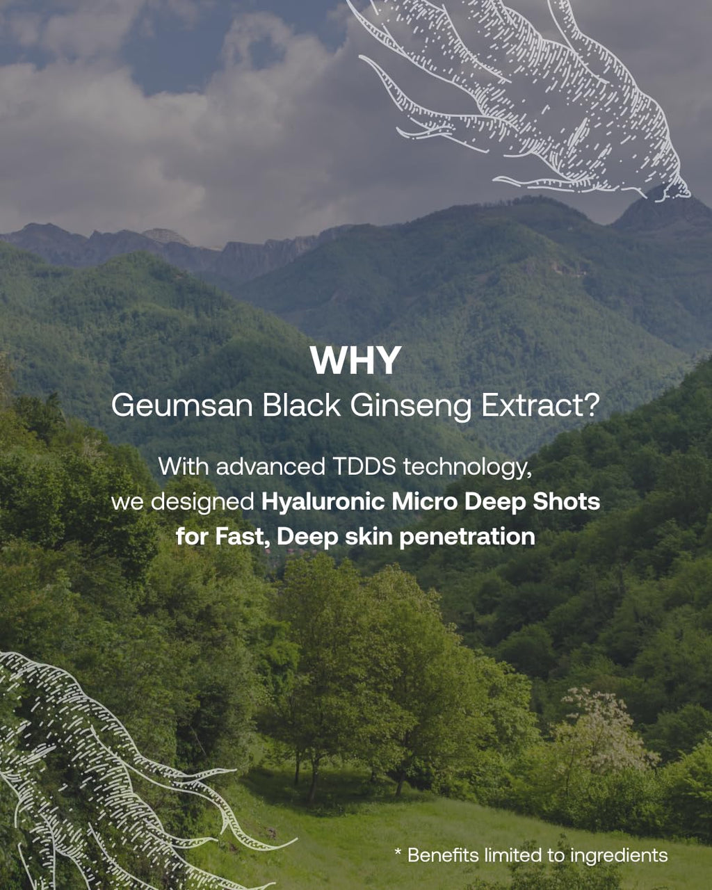 Filflo Peptide Micro Eye Patch